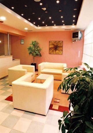 Imagen general del Hotel Hotel Silver. Foto 9