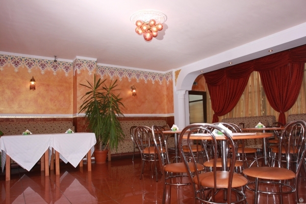 Imagen de los interiores del Hotel Hotel Sir Lujerului. Foto 4