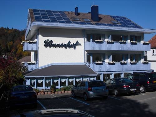 Imagen general del Hotel Hotel Sonnenhof, Bad Herrenalb. Foto 5