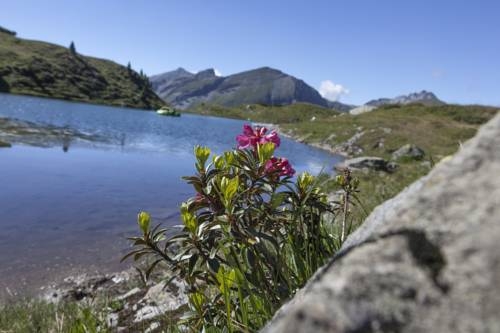 Imagen general del Hotel Hotel Steiner. Foto 2