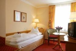 Imagen general del Hotel Hotel Steiner. Foto 13