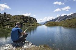 Imagen general del Hotel Hotel Steiner. Foto 19