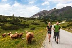 Imagen general del Hotel Hotel Steiner. Foto 21