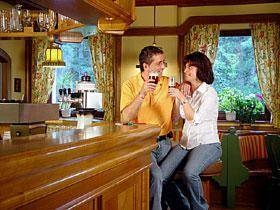 Imagen general del Hotel Hotel Strebersdorferhof. Foto 2