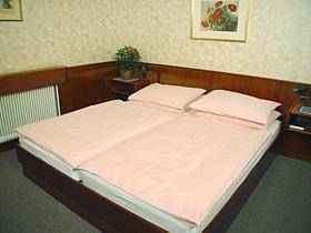 Imagen de la habitación del Hotel Hotel Strebersdorferhof. Foto 31