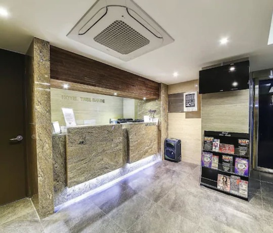Imagen de los interiores del Hotel Hotel TreeShade Dongdaemun. Foto 19
