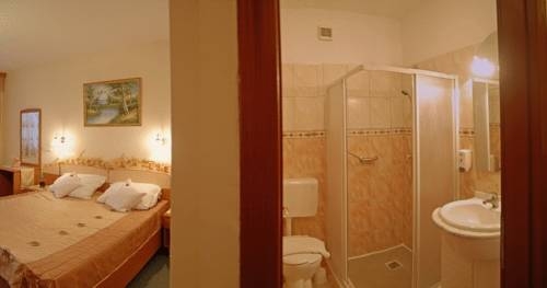 Imagen general del Hotel Hotel Venus, ZALAKAROS. Foto 16