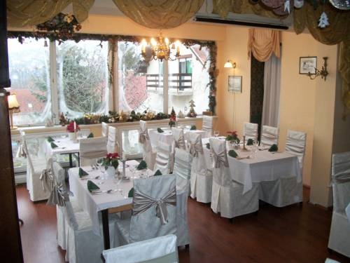 Imagen general del Hotel Hotel Viktória Restaurant. Foto 15