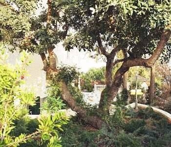 Imagen de la habitación del Hotel Hotel Villa Bensusan. Foto 4