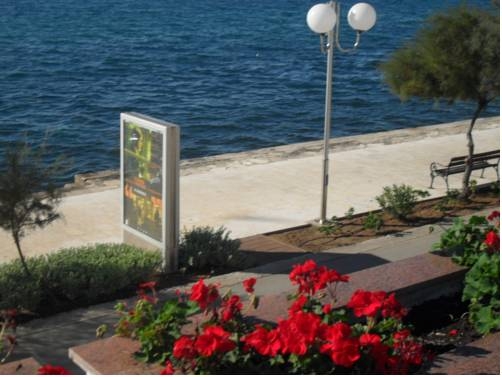 Imagen general del Hotel Hotel Villa Nico. Foto 3