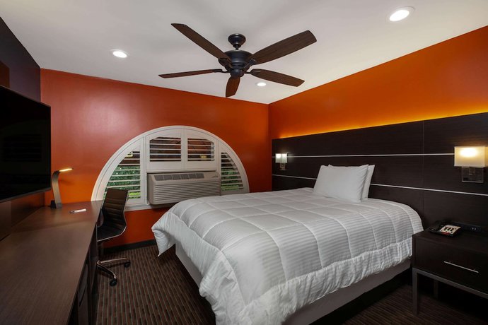 Imagen de la habitación del Hotel Hotel Vinea, a Travelodge by Wyndham. Foto 11