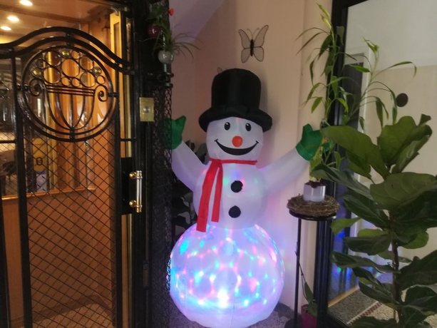 Imagen de los interiores del Hotel Hotel Virgina. Foto 16