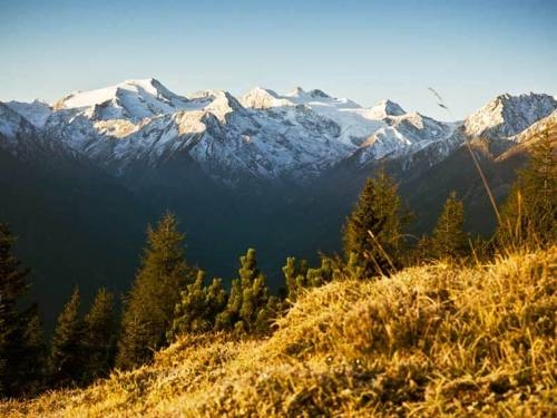 Imagen general del Hotel Hotel Waldhof. Foto 16