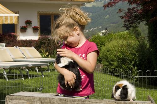 Imagen general del Hotel Hotel Waldhof. Foto 19