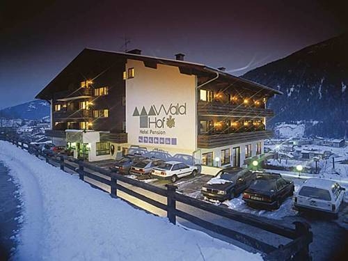 Imagen general del Hotel Hotel Waldhof. Foto 28