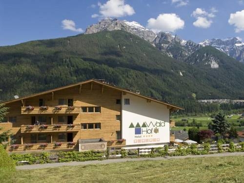 Imagen general del Hotel Hotel Waldhof. Foto 33