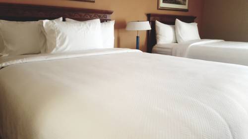 Imagen de la habitación del Hotel Hotel Xola. Foto 7