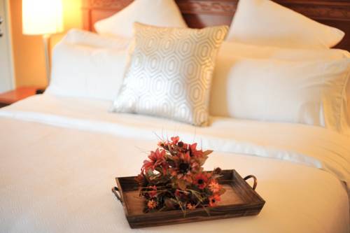 Imagen de la habitación del Hotel Hotel Xola. Foto 8