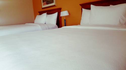 Imagen de la habitación del Hotel Hotel Xola. Foto 9