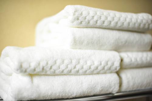 Imagen de la habitación del Hotel Hotel Xola. Foto 10