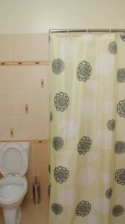Imagen de la habitación del Hotel Hotel Yubileinaya, Irkutsk. Foto 6