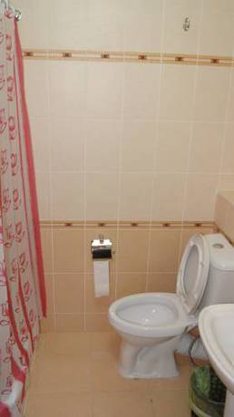 Imagen de la habitación del Hotel Hotel Yubileinaya, Irkutsk. Foto 7