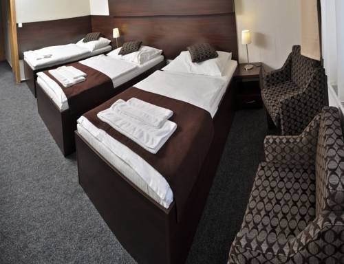 Imagen general del Hotel Hotel Zebetinsky Dvur Brno. Foto 5