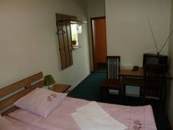 Imagen general del Hotel Hotel Zelenyi Klyn. Foto 6