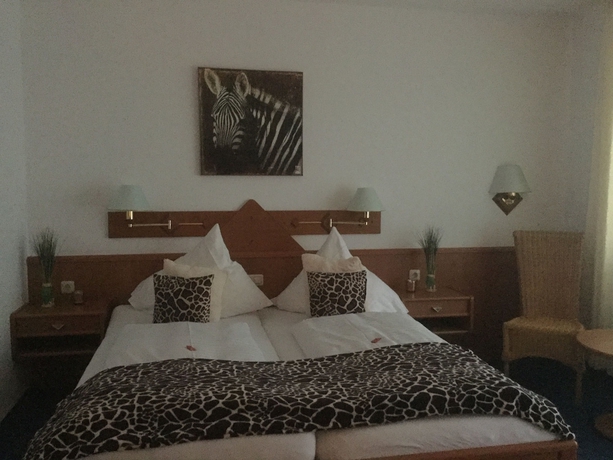 Imagen de los interiores del Hotel Hotel am Schlosspark. Foto 14