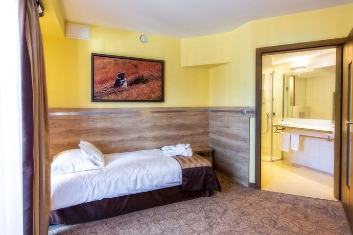 Imagen de la habitación del Hotel Hotel and SPA Czarny Groń. Foto 3