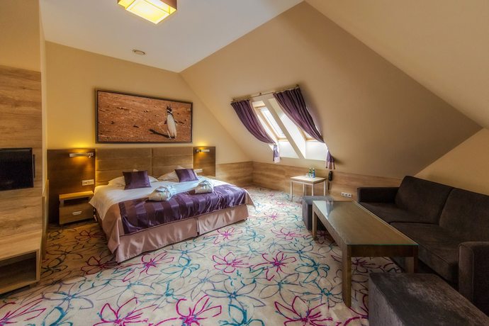 Imagen de la habitación del Hotel Hotel and SPA Czarny Groń. Foto 5