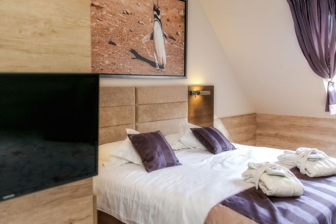 Imagen de la habitación del Hotel Hotel and SPA Czarny Groń. Foto 9