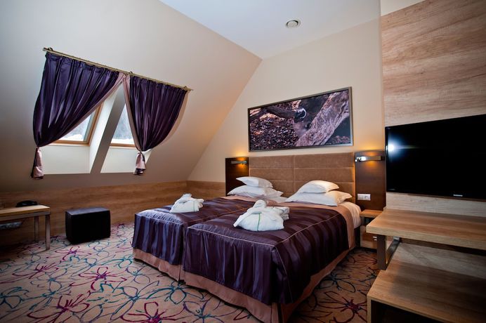 Imagen de la habitación del Hotel Hotel and SPA Czarny Groń. Foto 18