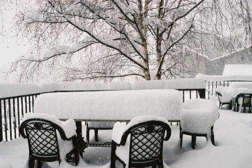 Imagen general del Hotel Hotel del Bisset. Foto 15