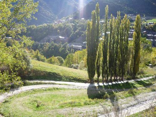 Imagen general del Hotel Hotel del Bisset. Foto 22