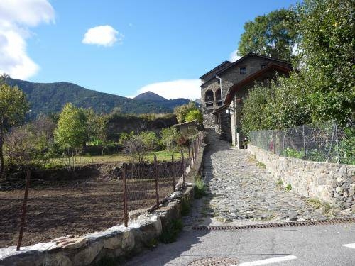 Imagen general del Hotel Hotel del Bisset. Foto 24