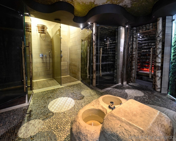 Imagen general del Hotel Hotel Żubr&oacute;wka Spa & Wellness. Foto 5