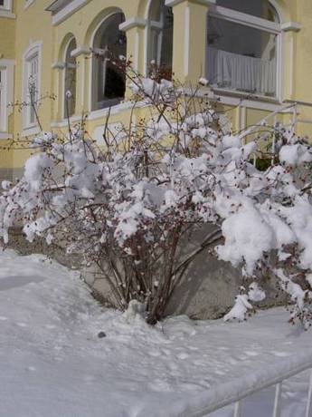 Imagen general del Hotel Hotel-Garni Hubertus. Foto 6