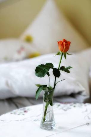 Imagen general del Hotel Hotel-Garni Hubertus. Foto 9