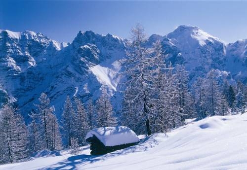 Imagen general del Hotel Hotel-Garni Hubertus. Foto 24