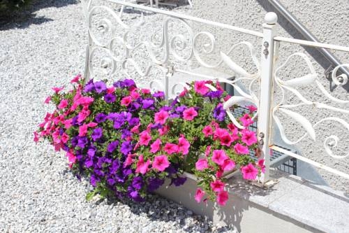 Imagen general del Hotel Hotel-Garni Hubertus. Foto 34