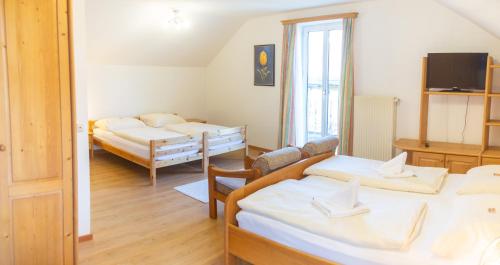 Imagen general del Hotel Hotel-Garni & Hostel Sandwirt. Foto 3