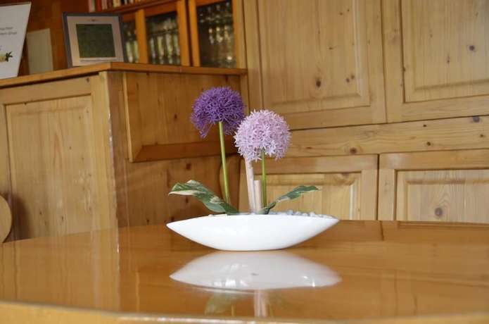 Imagen de los interiores del Hotel Hotel-Gasthof Am Forsthof. Foto 18