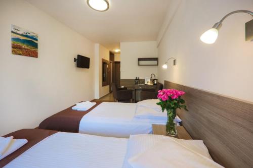 Imagen de la habitación del Hotel Hotel***NAT Piwniczna Zdr&oacute;j. Foto 6