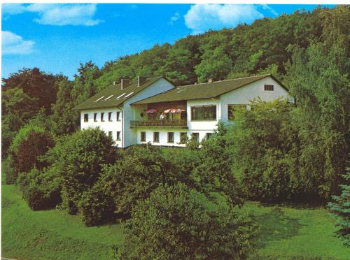Imagen general del Hotel Hotel-Restaurant Berghof, Alzenau. Foto 5