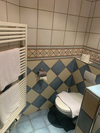 Imagen general del Hotel Hotel-Restaurant Maien. Foto 12