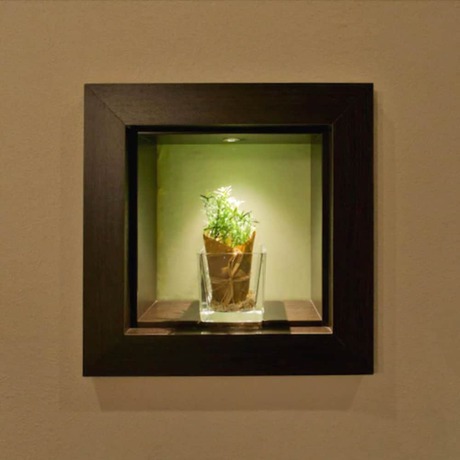 Imagen de los interiores del Hotel Hotel-Restaurant Sonneneck. Foto 20