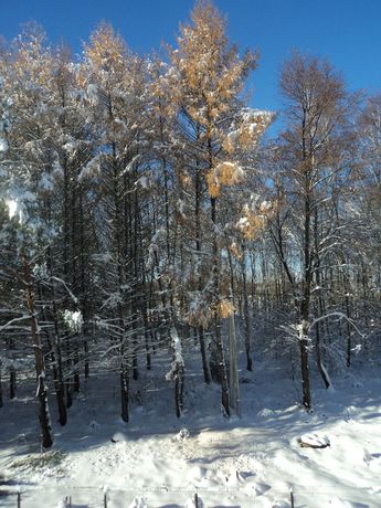 Imagen de la habitación del Hotel Hotel-Restaurant Vizit. Foto 9