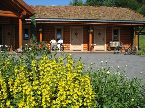 Imagen general del Hotel Hotelanlage Country Lodge. Foto 9
