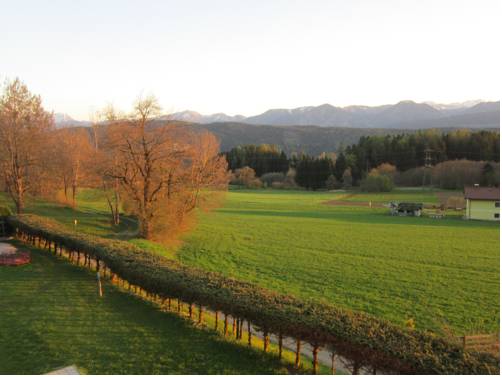 Imagen de la habitación del Hotel Hotel-café-restaurant Matzelsdorfer Hof. Foto 4